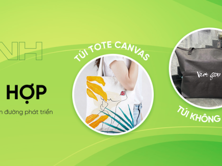 Túi Vải Không Dệt – Lựa Chọn Tiết Kiệm, Bảo Vệ Môi Trường
